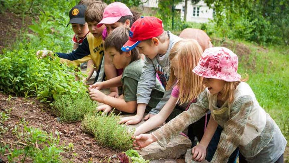 Gartenpädagogik