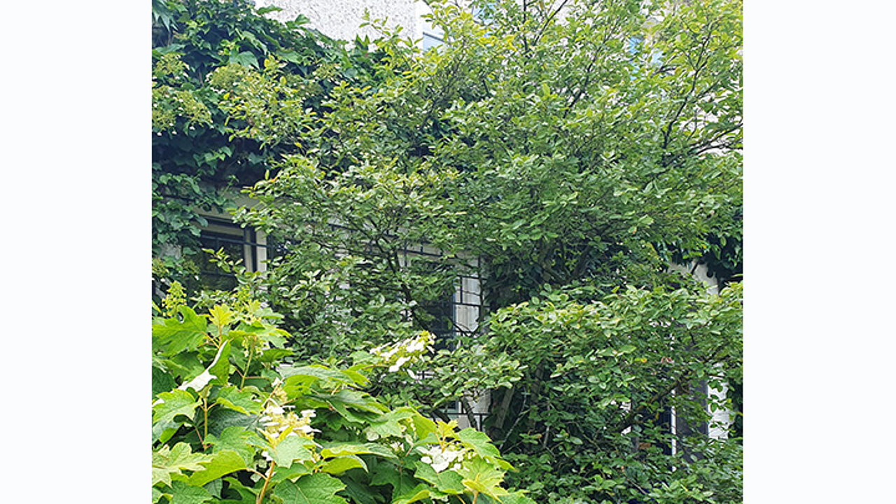 image-18500