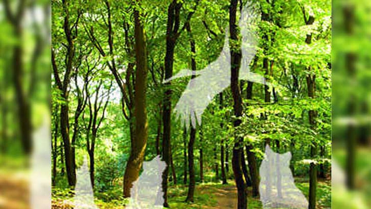 Landesweiten Biotopverbund