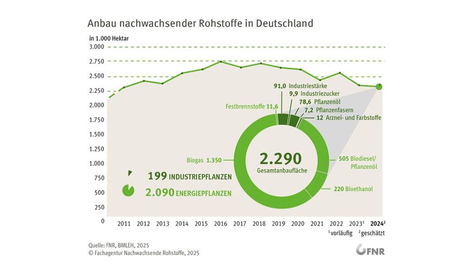 Entwicklung nachwachsende Rohstoffe