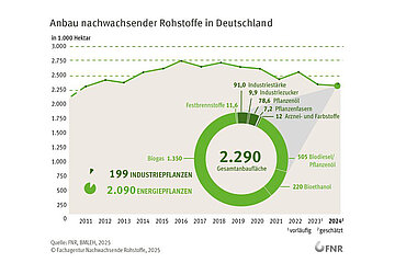 Entwicklung nachwachsende Rohstoffe
