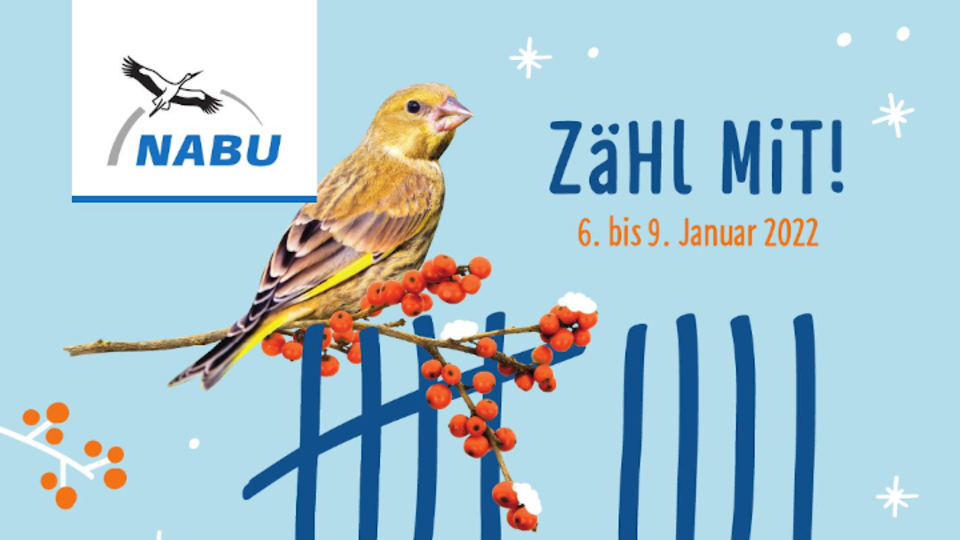 Stunde der Wintervögel