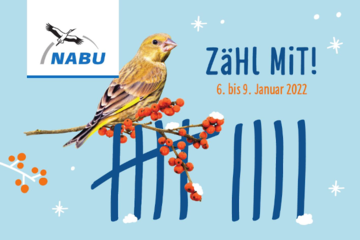 Stunde der Wintervögel