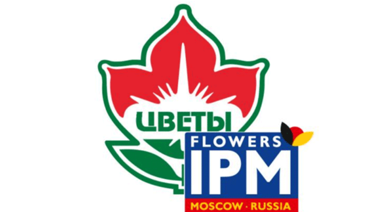 Flowers IPM Moskau logo