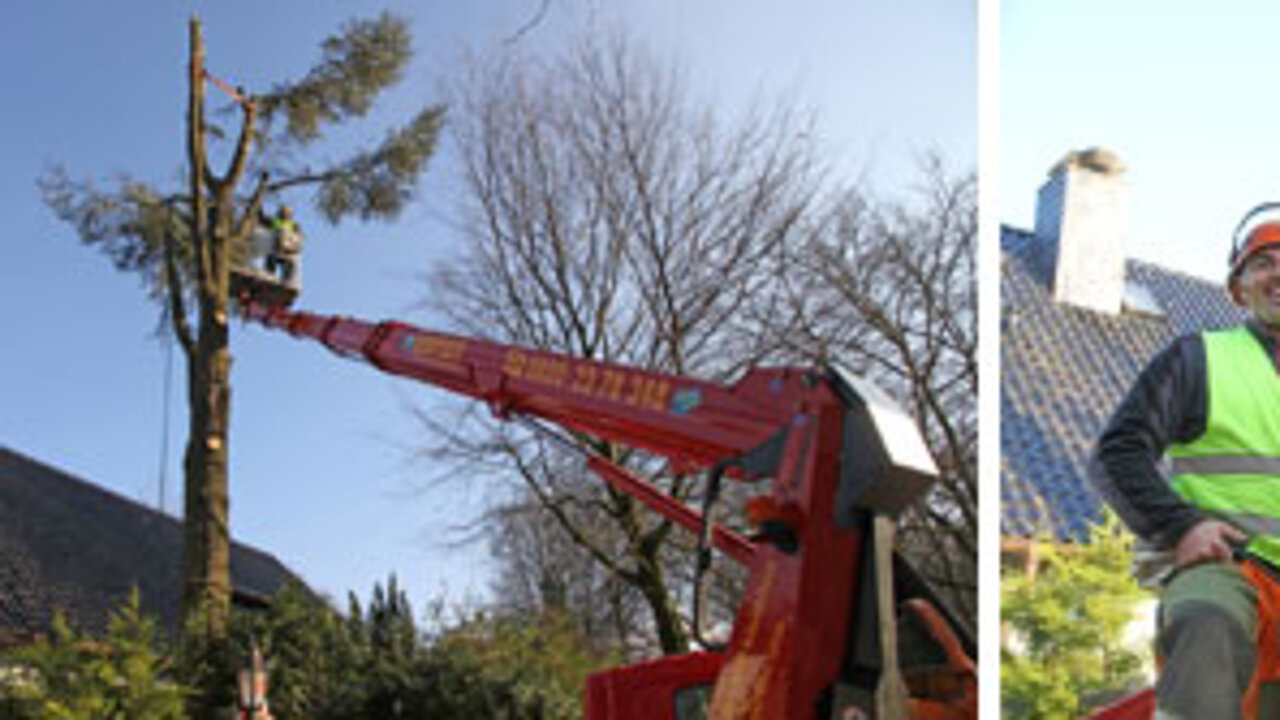 RUTHMANN STEIGER TB 270