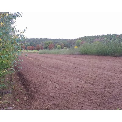 Agroforstsystem
