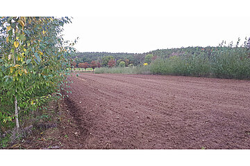 Agroforstsystem