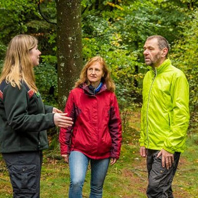 Schadholzaufarbeitung