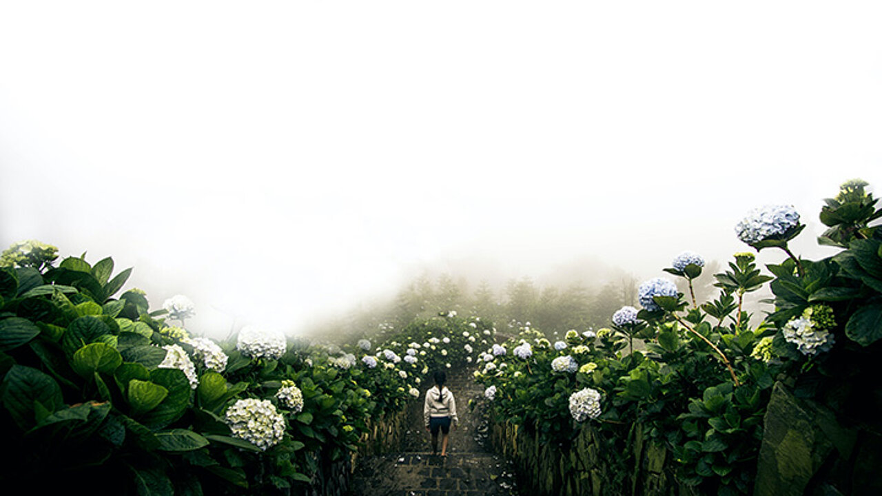 Visumantrag Vietnam