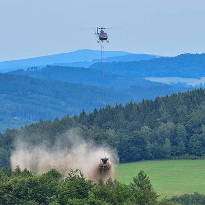 Waldkalkung