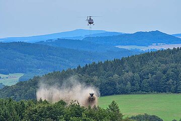 Waldkalkung