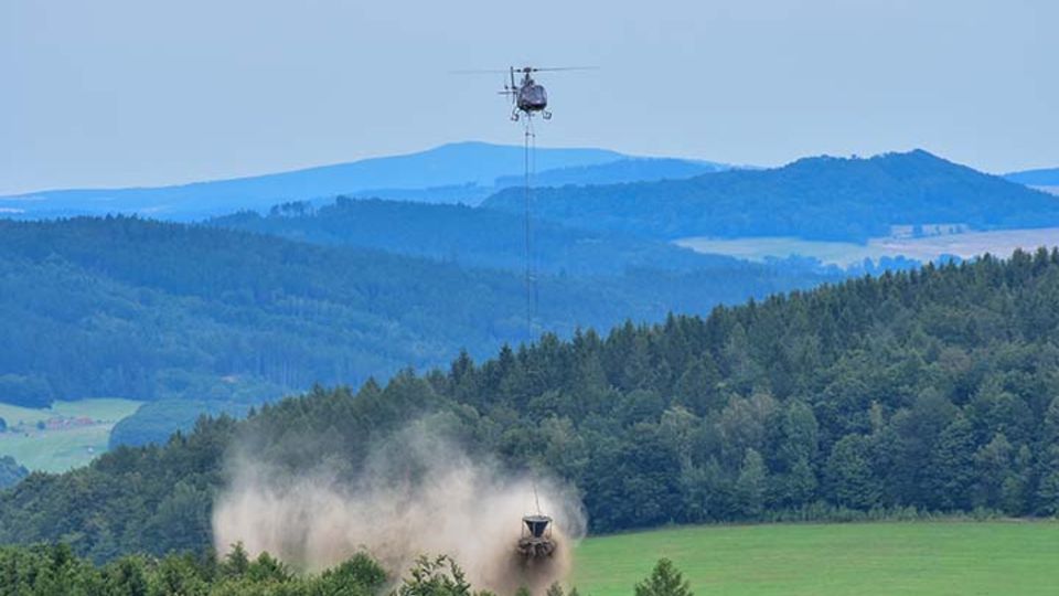 Waldkalkung