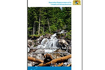 Wildbachbericht