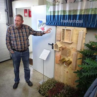Harold Ingwersen