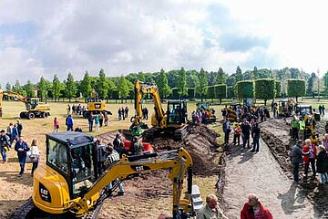 Blütenmeer und Baumaschinen