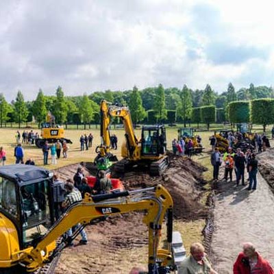 Blütenmeer und Baumaschinen