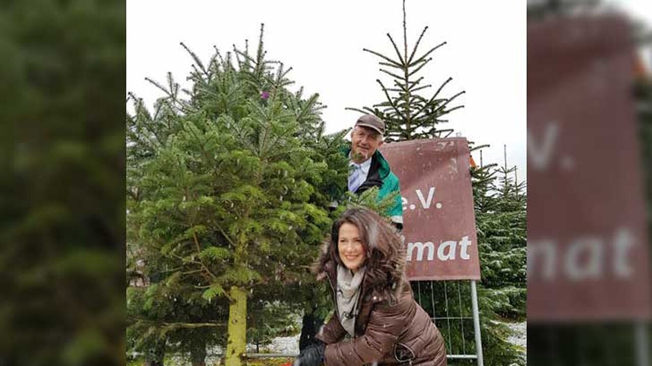 Christbaum