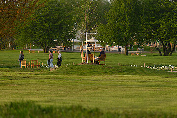Wiese