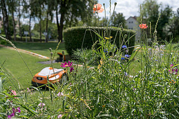 Image-13138