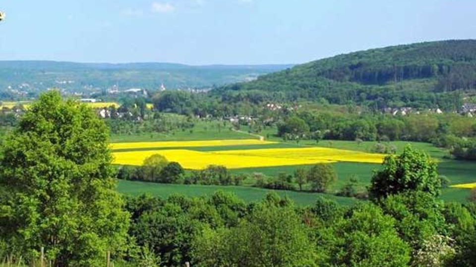 biologischen Vielfalt
