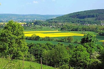 biologischen Vielfalt