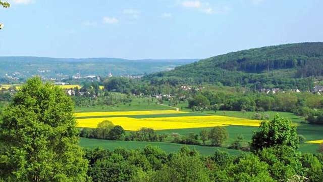 biologischen Vielfalt