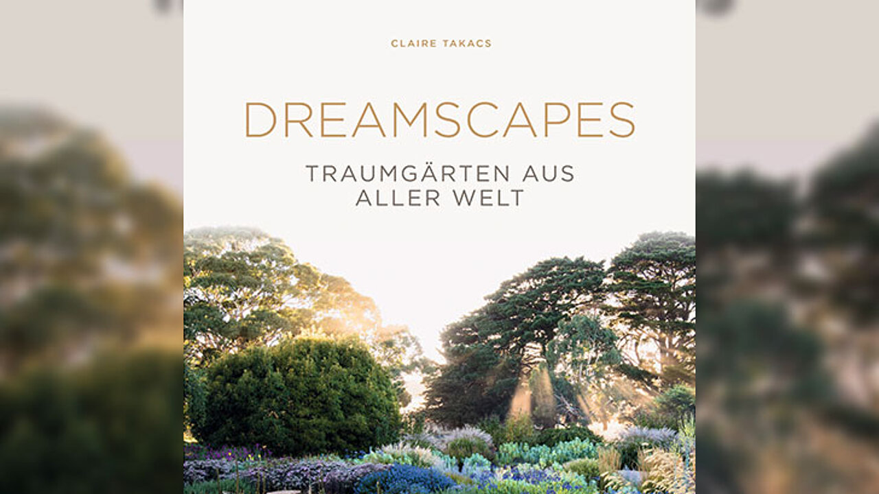 Dreamscapes