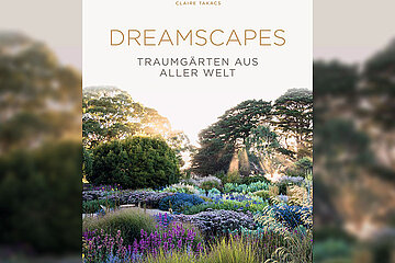 Dreamscapes