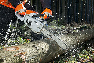 STIHL MS 201 C-M