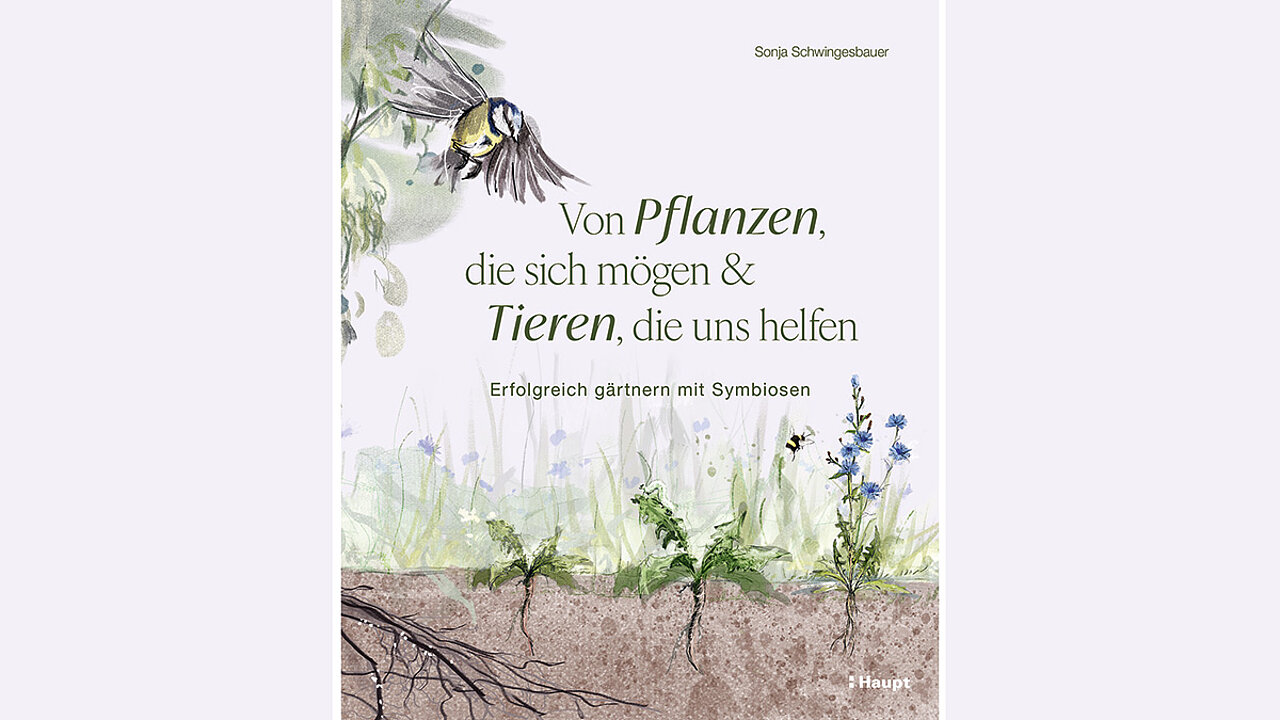 Buch - Pflanzen, die sich mögen