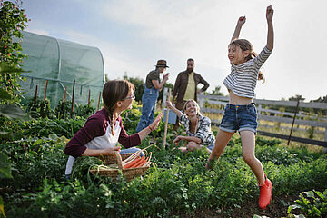 Gartenbeet