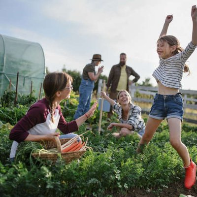 Gartenbeet