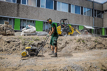 Image-15225