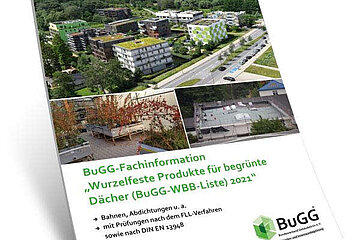Image-13242