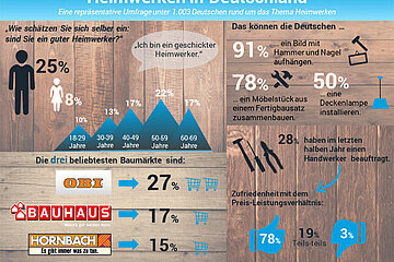 Infografik Heimwerken