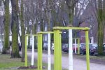 Neu gepflanzte Bäume