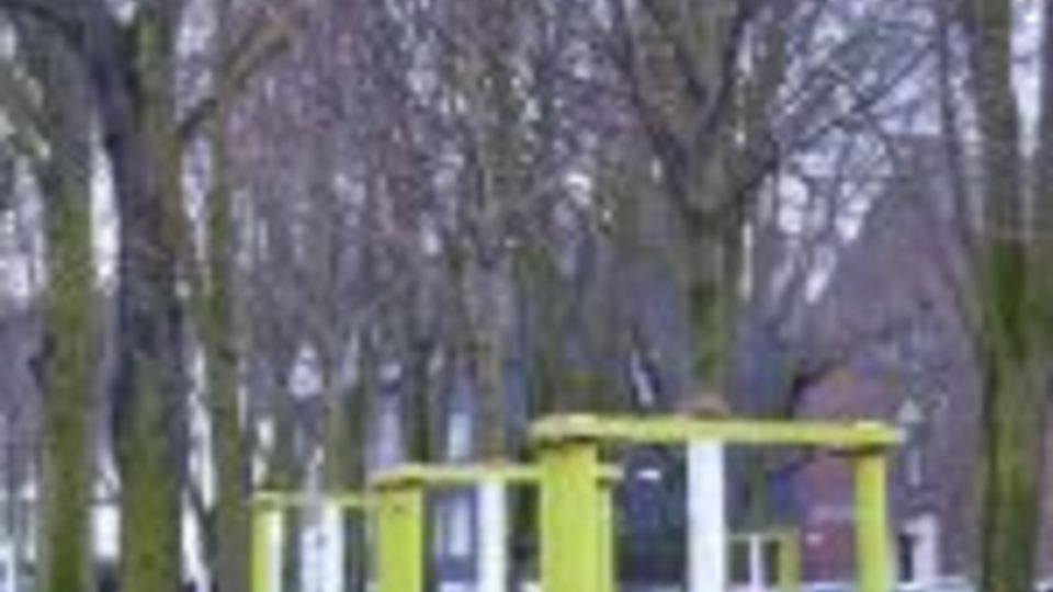 Neu gepflanzte Bäume