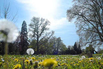 Image-15274