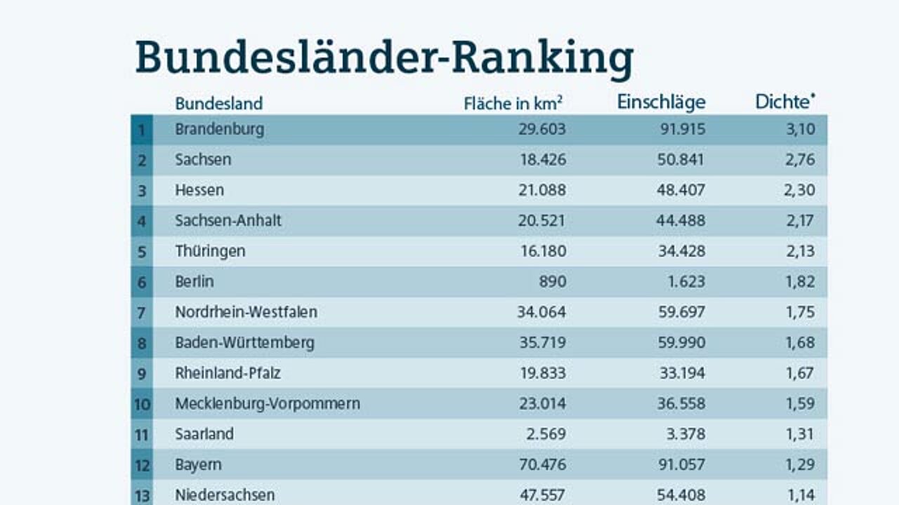 Blitz-Informationsdienst