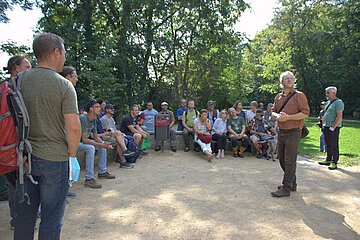 Image-13479