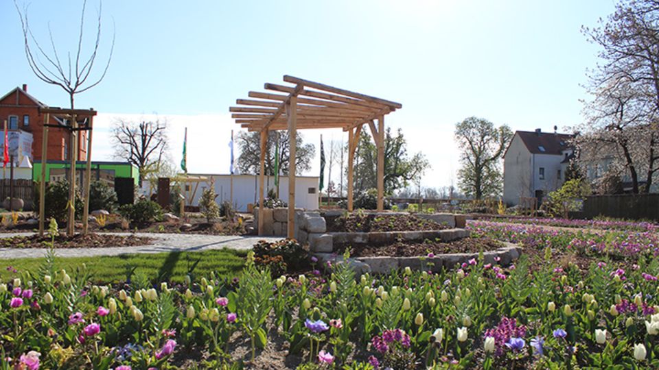Landesgartenschau Torgau