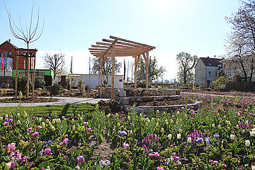 Landesgartenschau Torgau