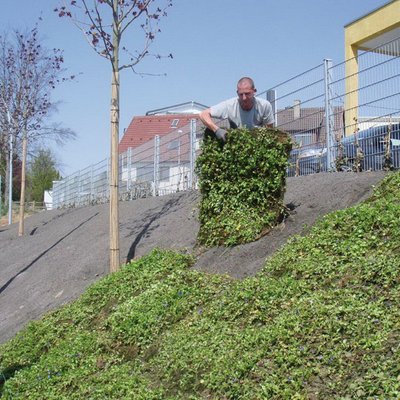 Erosionsschutz