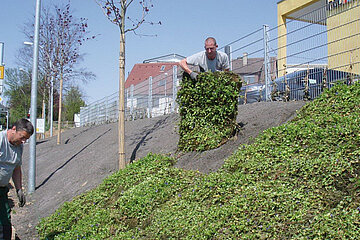 Erosionsschutz