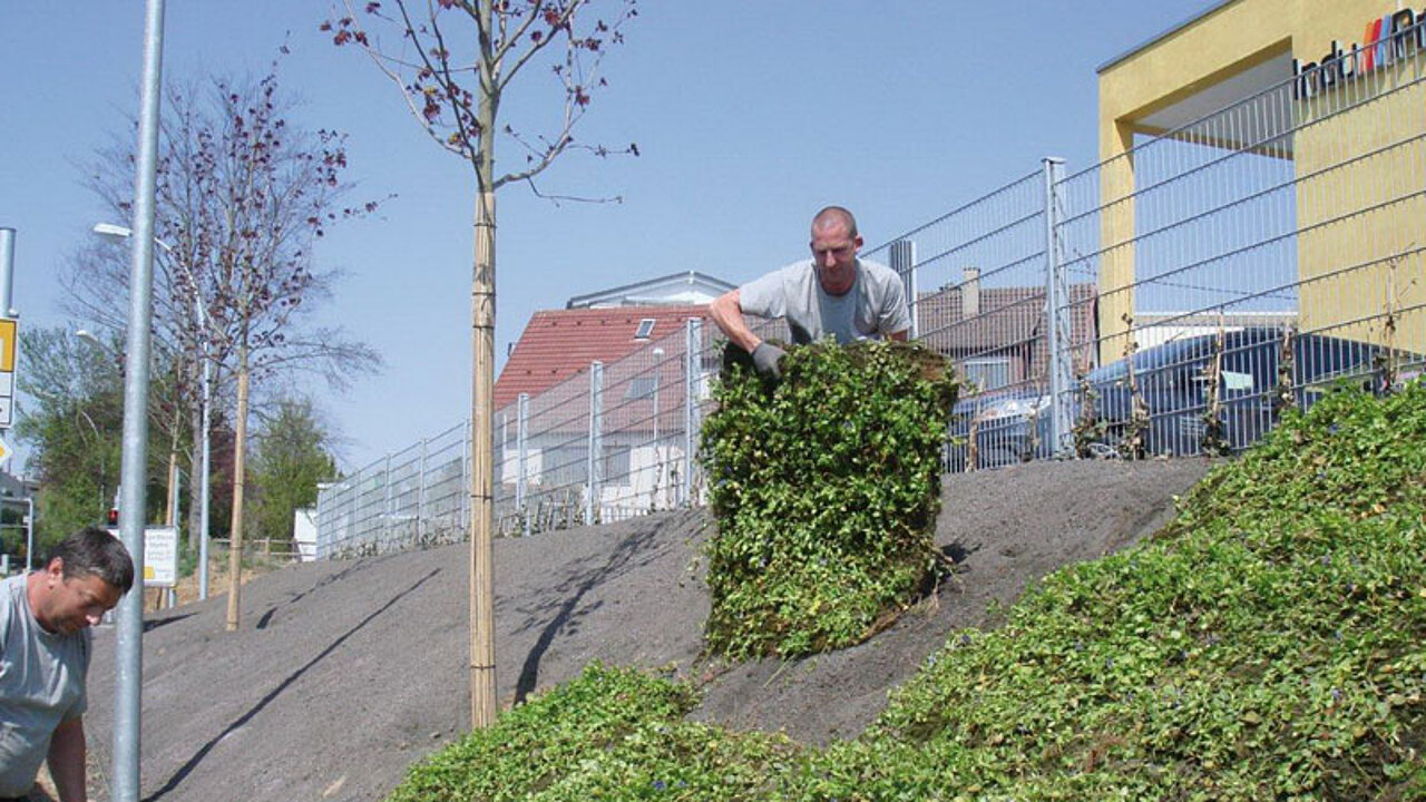 Erosionsschutz