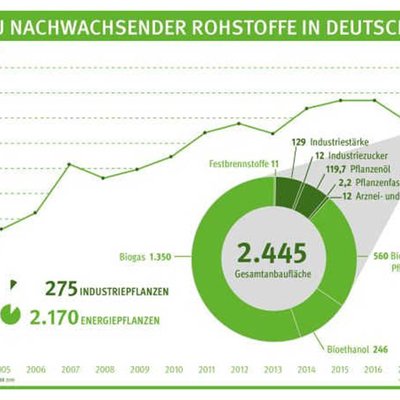 Anbaufläche