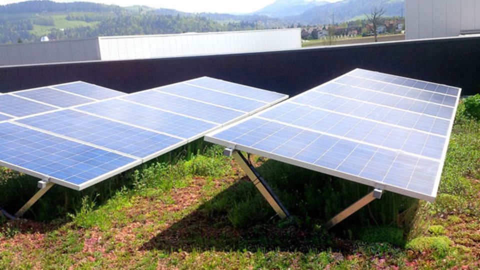 SolarGrünDach Sun Root 15