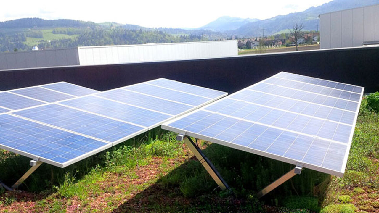 SolarGrünDach Sun Root 15