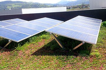 SolarGrünDach Sun Root 15