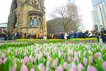 Tulpfenfest in Berlin